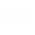 Official partner